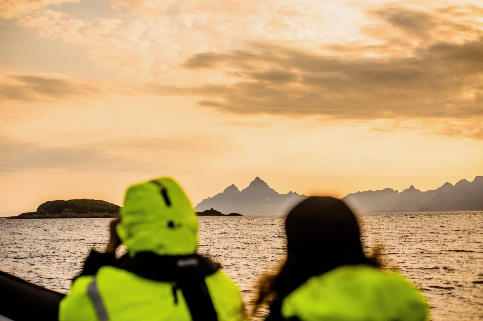 Sea eagle evening safari xxlofoten 2020 6