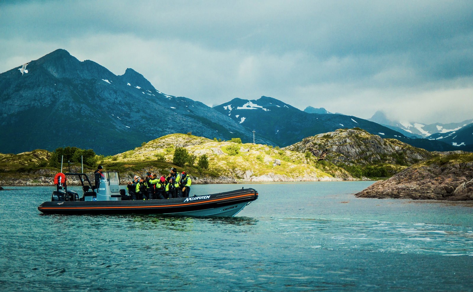 Sea eagle rib safari photo xxlofoten 2020 22