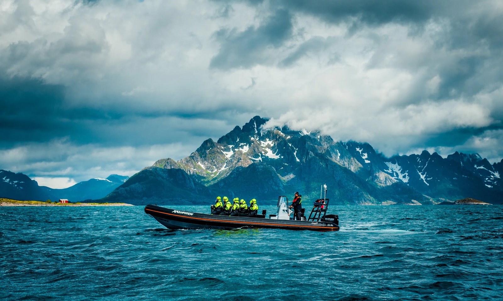 Sea eagle rib safari photo xxlofoten 2020 6