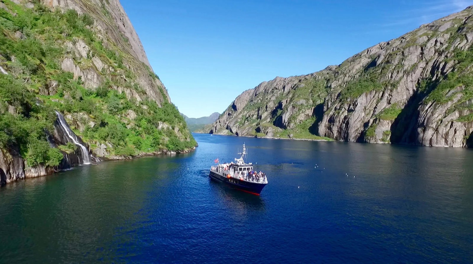 Trollfjorden boat cruise oykongen lofoten 5