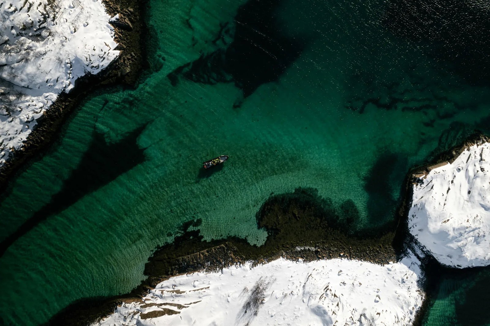 Xxlofoten sea eagle rib safari photo carl filip olsson 16